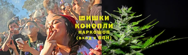 крисы Армянск