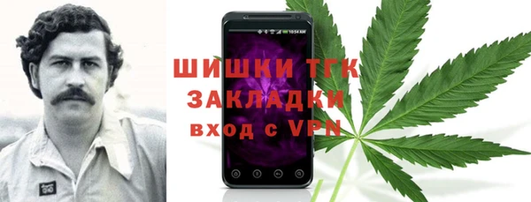 крисы Армянск