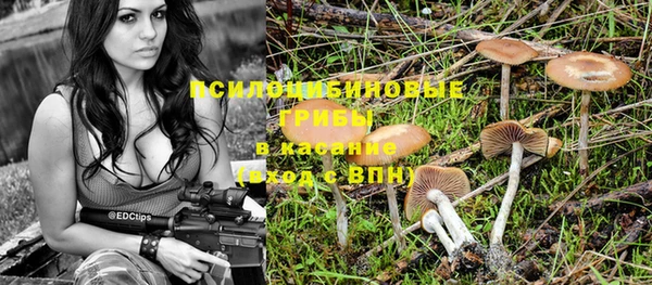 ПСИЛОЦИБИНОВЫЕ ГРИБЫ Аркадак