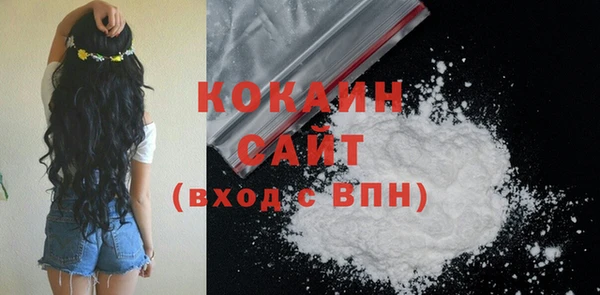 кокс Алексин